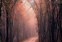 大连英博海发主场首战!警方提示.