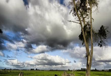 英媒:热刺选帅名单上曾有恩里克,如今后者距不败夺冠仅一步之遥.