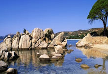 星空体育官网:WTT仁川赛!国乒第2败,19岁新星0-3惨败出局,陈幸同逆转险胜.